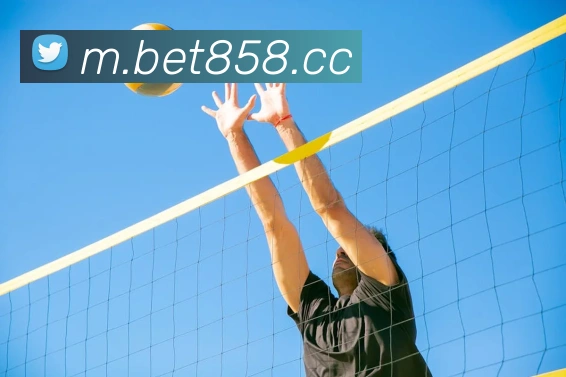 bet365comAPP 封面图